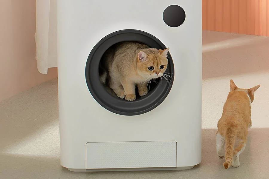 best cat litter robot